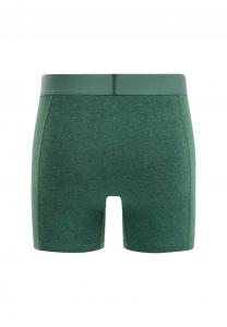 Брюки THE PERFECT BOXER WE Fashion, зеленый