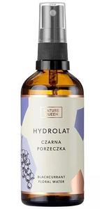 Гидролат черной смородины, 100 мл Nature Queen