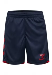 Спортивные штаны hmlcore 2.0 Hummel, Marine True Red