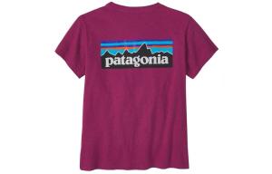 Футболка с принтом логотипа Patagonia, розовый