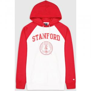 Толстовка с капюшоном Champion, мультиколор