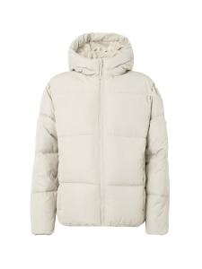 Зимняя куртка HOLLISTER, светло-серый