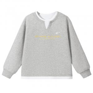 Детский свитшот с круглым вырезом Moderate WARRIOR, серый with english золото logo