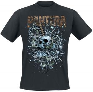 Футболка Pantera Skull & Snakes, черный