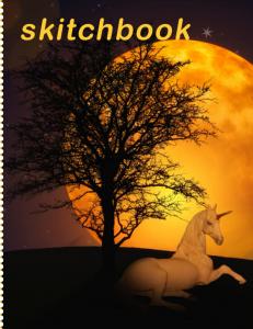 SKITCHBOOK: SKITCHBOOK FOR DRAWING 8,5x11 (Independently published)