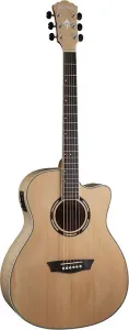 Washburn AG40 CE K