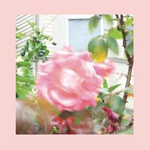 Виниловая пластинка Reds Pinks And Purples - Summer At Land'S End