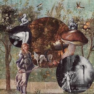 Виниловая пластинка Native Harrow: Old Kind Of Magic