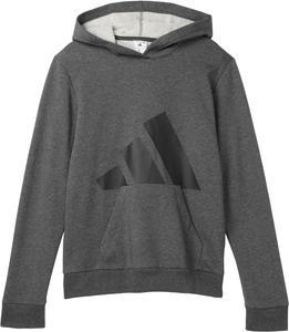 Пуловер adidas Kids Essential Big Logo Fleece Heather Hooded Pullover, цвет Dark Grey Heather