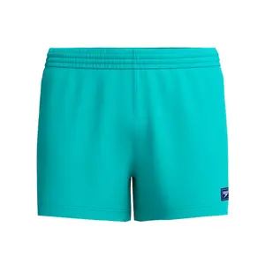 Плавки-шорты Speedo мужские Solid Retro Volley 13, синий