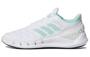 Женские кроссовки Adidas Climacool Ventania