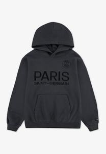 Худи Jordan PARIS SAINT-GERMAIN, Anthracite/Grey