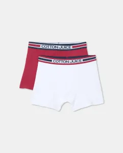 Набор из 2 однотонных трусов-боксеров для мальчика Cotton Juice, мультиколор