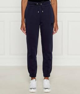 Брюки-карго спортивные Pinko Regular Fit, синий