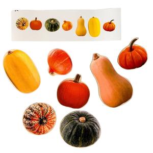 Репродукция головоломки, картирование тыквы, тыква, виды тыквы Inna marka