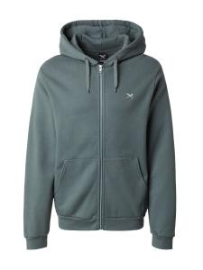 Свитер с капюшоном на молнии Iriedaily Zip-Up Hoodie Mini Flag 2, темно-зеленый