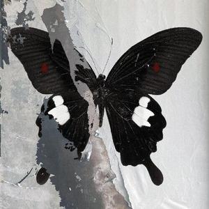 Виниловая пластинка Death Cult - Paradise Now