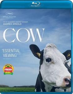 Диск Blu-ray Cow [2021]