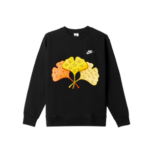 Мужская спортивная толстовка Nike, черный