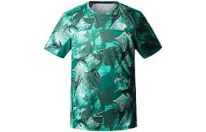 Футболка мужская зеленая The North Face, зеленый