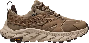 Кроссовки Anacapa Low GORE-TEX 'Dune Oxford Tan', коричневый