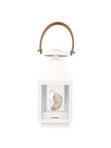 Mr. & Mrs. Panda Фонарь-выдра вверх ногами без слов в прозрачном исполнении