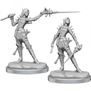 Ролевая игра WizKids/NECA Pathfinder Legendary Cuts: W2 Female Elf Rogue