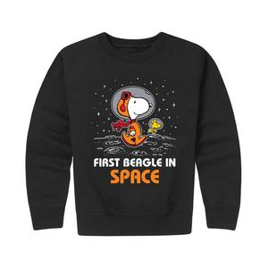 Толстовка из флиса с графическим рисунком Peanuts Beagle In Space для мальчиков 8–20 лет Licensed Character