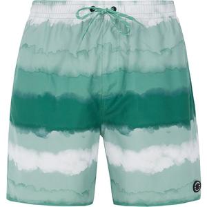 Шорты для плавания prthamsey Protest, зеленый