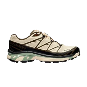 Кроссовки Salomon Sneakersnstuff x XT-6 GORE-TEX Almond Milk Seagrass, кремовый