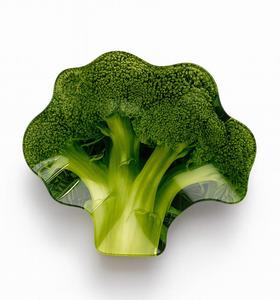 Сервировочное блюдо Aria Fresh Green 15x18x1 см, стекло Mondex, зеленый