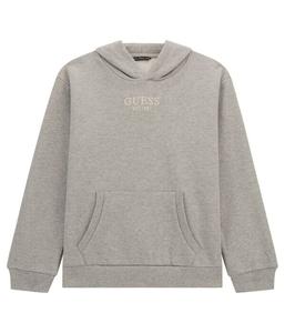 Толстовка Guess Regular Fit, серый