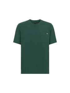 Рубашка DICKIES Luray, Fir