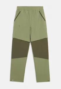 Брюки унисекс Adidas Terrex, Tent Green