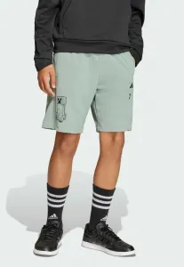 Спортивные штаны minecraft Adidas Sportswear, Silver Green