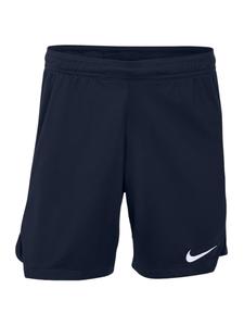 Брюки NIKE Regular Workout Pants, синий