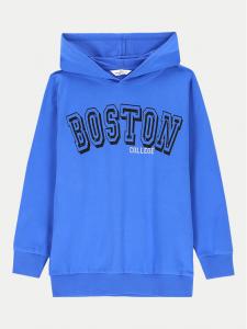 Свитшот relaxed fit ZC4132304VBA Coccodrillo, синий