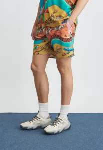 Шорты микки мейсона Volcom, Multi Coloured