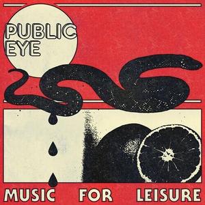 Виниловая пластинка Public Eye - Music For Leisure