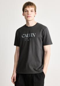 Футболка Calvin Klein GRAPHIC TEE, Pirate Black/Black