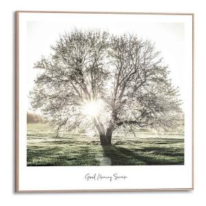 Картина с рамкой Reinders Morgensonne Baum, зеленый