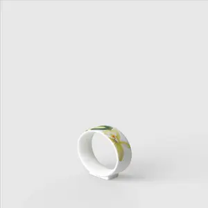 Кольцо для салфеток Villeroy & Boch Amazonia, Разноцветный