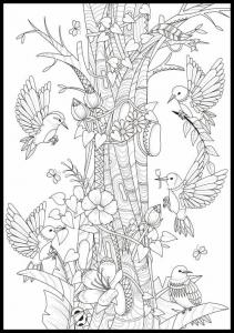 Раскраска в виде плаката для детей и других, с красивой графикой, птицами и цветами, формат 50х70 см. Inna marka