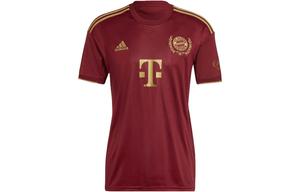 Футболка Бавария Мюнхен Мужская темно-бордовая Adidas, темно-красный