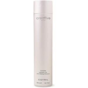 Гидра Шампунь 300мл, Cotril