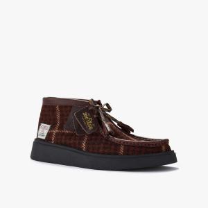 Торвью Привет