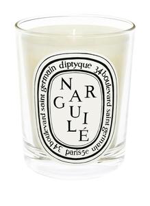 Ароматическая свеча Diptyque NARGUILÉ