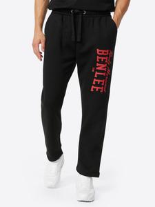 Мужские спортивные брюки BENLEE, стандартный крой, BEATY