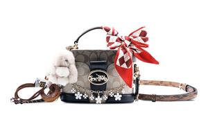 COACH Джорджи Канвас с кожаной коробкой Сумка через плече Кроссбоди Клатч Обычный Женский Хаки, Butterfly Love Whispers