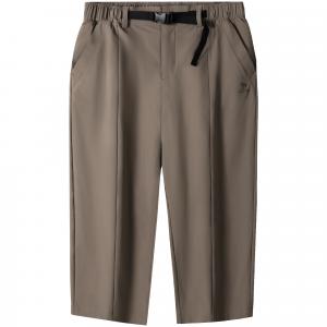 Повседневные шорты мужские Moderate CAMEL, ranger коричневый